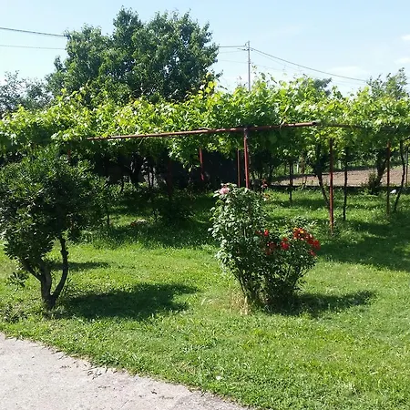 Eco Village Skadar Lake Farm stay *